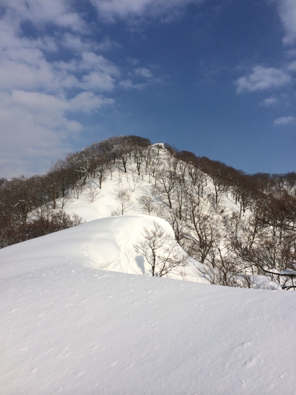 f:id:nceedo:20150211151347j:plain