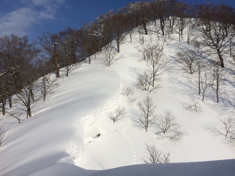 f:id:nceedo:20150211154132j:plain