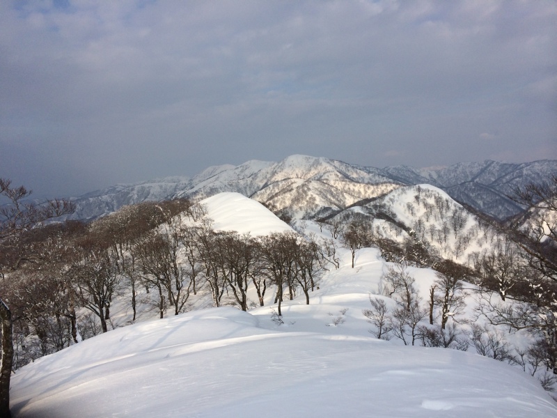 f:id:nceedo:20150211155403j:plain