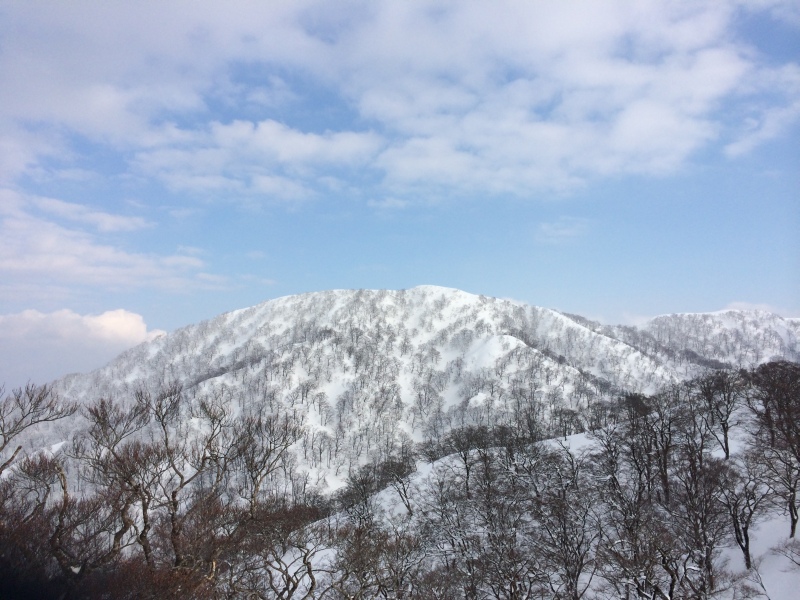 f:id:nceedo:20150211155415j:plain