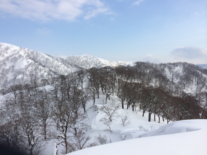 f:id:nceedo:20150211155422j:plain