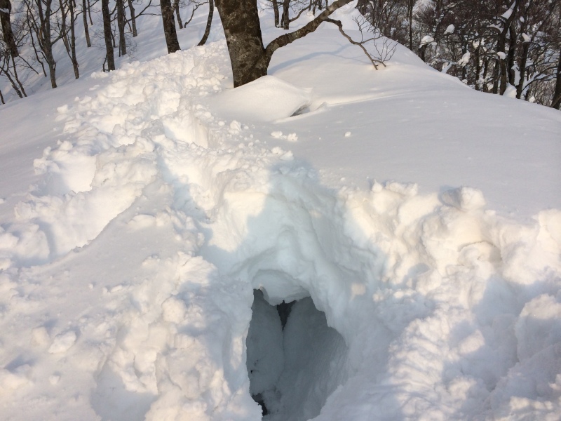 f:id:nceedo:20150211162826j:plain