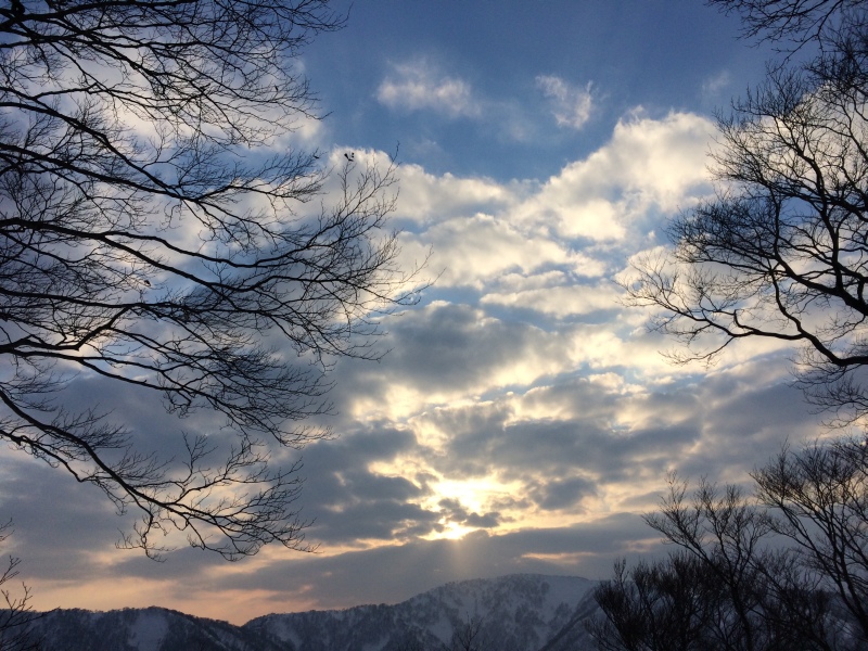 f:id:nceedo:20150211164249j:plain