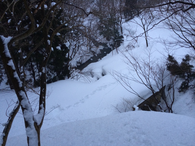 f:id:nceedo:20150211173627j:plain