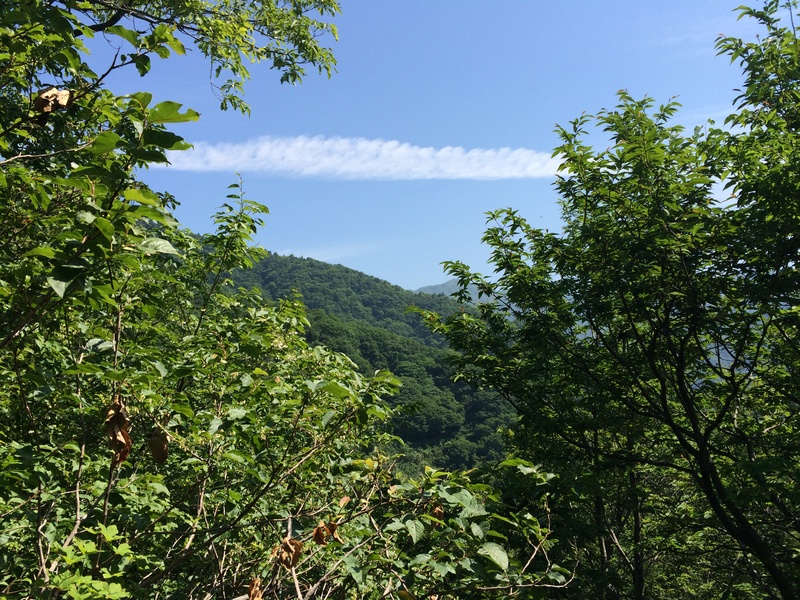 f:id:nceedo:20150530093741j:plain f:id:nceedo:20150530093741j:plain