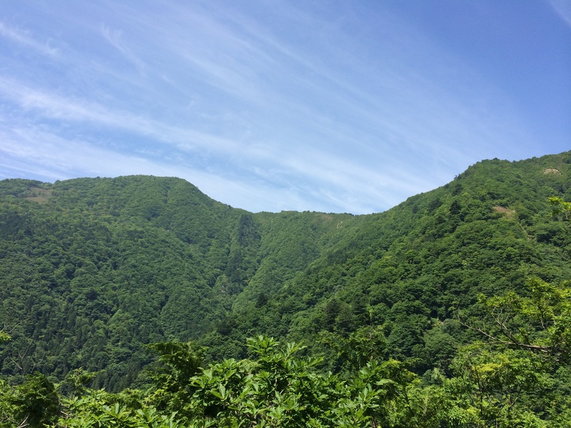 f:id:nceedo:20150530101115j:plain f:id:nceedo:20150530101115j:plain