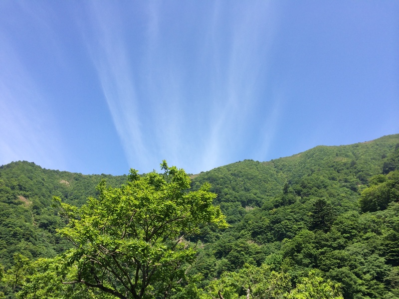 f:id:nceedo:20150530101121j:plain f:id:nceedo:20150530101121j:plain