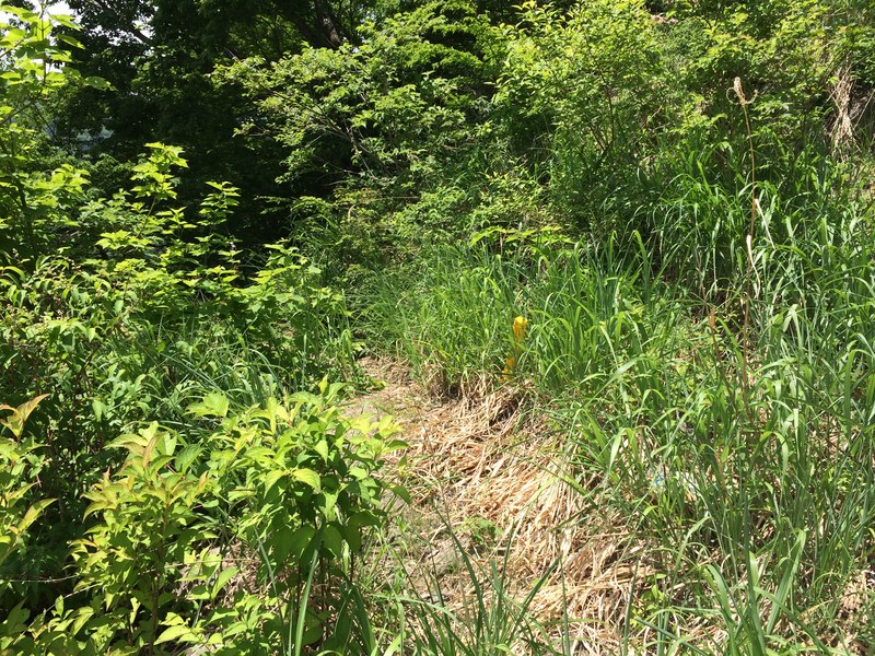 f:id:nceedo:20150530103739j:plain f:id:nceedo:20150530103739j:plain