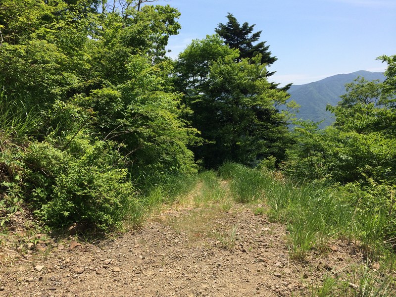 f:id:nceedo:20150530103746j:plain f:id:nceedo:20150530103746j:plain