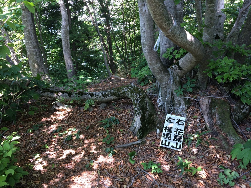 f:id:nceedo:20150530110541j:plain f:id:nceedo:20150530110541j:plain