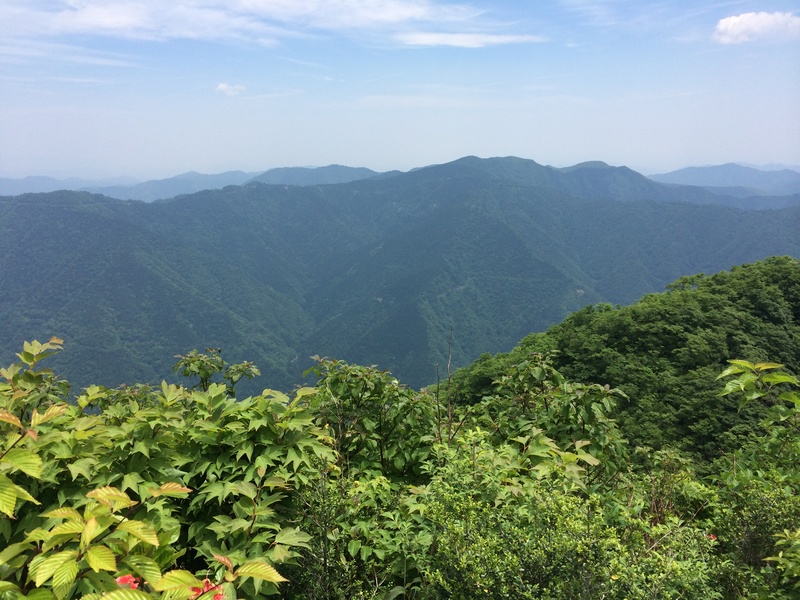 f:id:nceedo:20150530121350j:plain f:id:nceedo:20150530121350j:plain