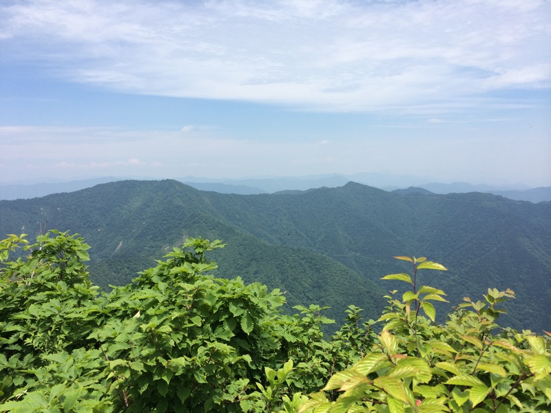 f:id:nceedo:20150530121356j:plain f:id:nceedo:20150530121356j:plain