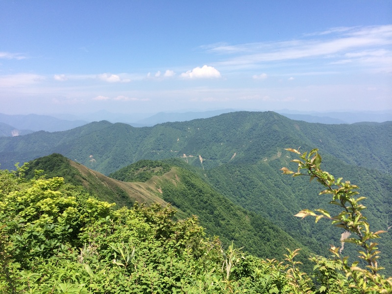 f:id:nceedo:20150530124214j:plain f:id:nceedo:20150530124214j:plain