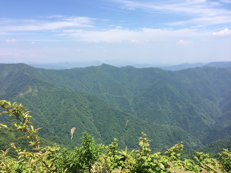 f:id:nceedo:20150530124218j:plain f:id:nceedo:20150530124218j:plain