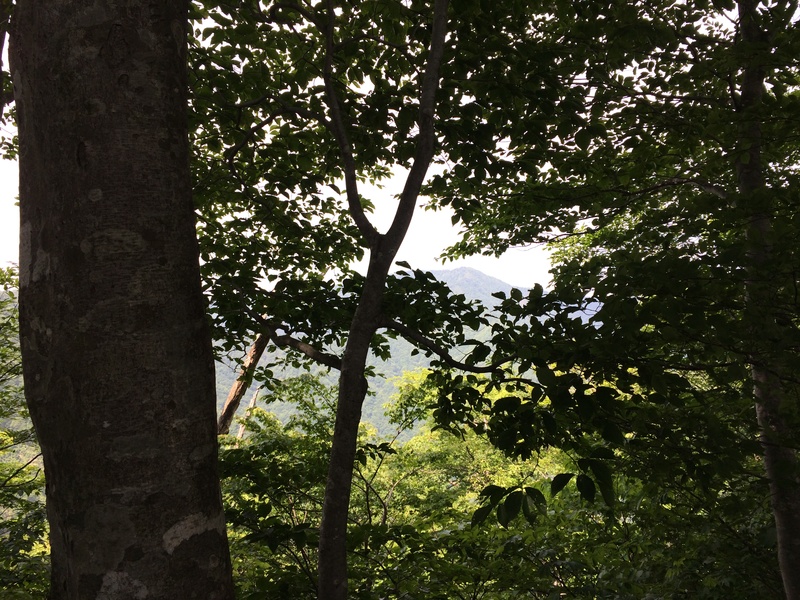 f:id:nceedo:20150530140148j:plain f:id:nceedo:20150530140148j:plain