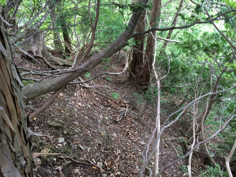 f:id:nceedo:20150530145606j:plain f:id:nceedo:20150530145606j:plain