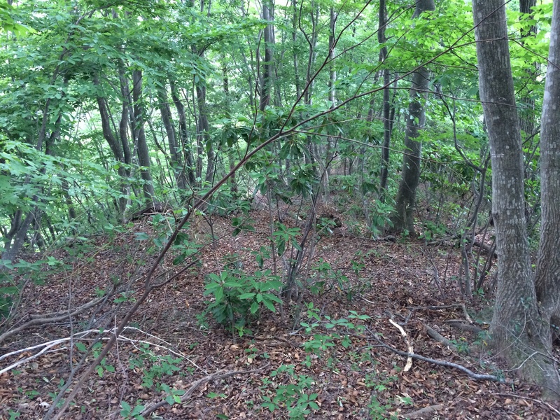 f:id:nceedo:20150530150648j:plain f:id:nceedo:20150530150648j:plain