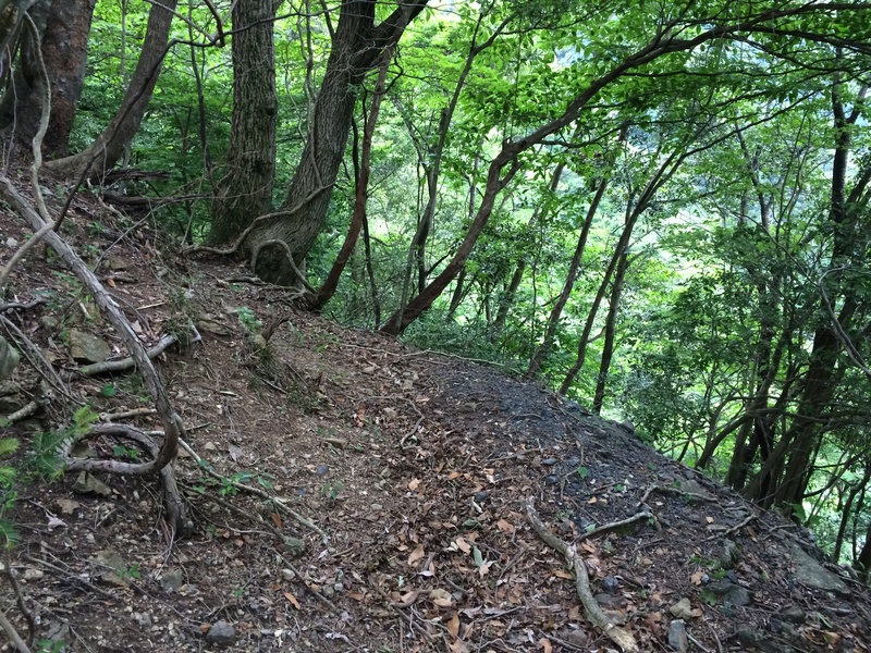 f:id:nceedo:20150530154404j:plain f:id:nceedo:20150530154404j:plain