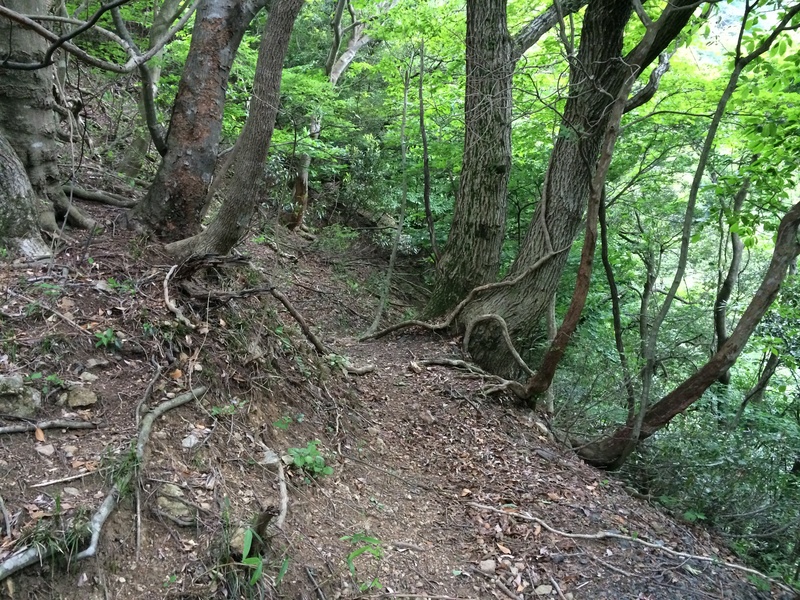 f:id:nceedo:20150530154409j:plain f:id:nceedo:20150530154409j:plain