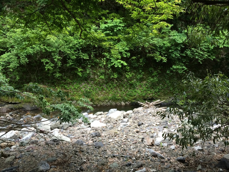 f:id:nceedo:20150530155117j:plain f:id:nceedo:20150530155117j:plain