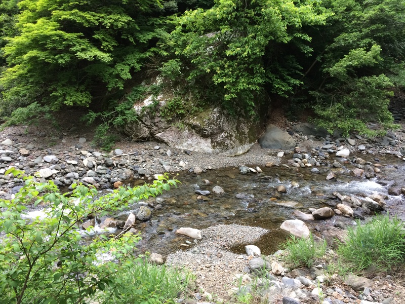 f:id:nceedo:20150530160334j:plain f:id:nceedo:20150530160334j:plain