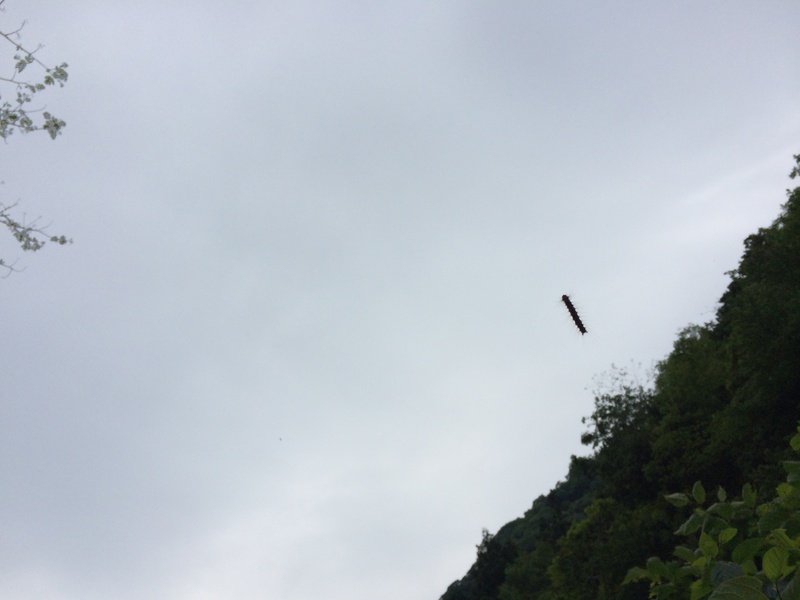 f:id:nceedo:20150530160445j:plain f:id:nceedo:20150530160445j:plain