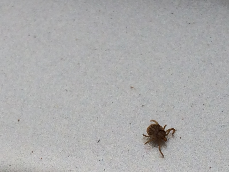 f:id:nceedo:20150530162826j:plain f:id:nceedo:20150530162826j:plain