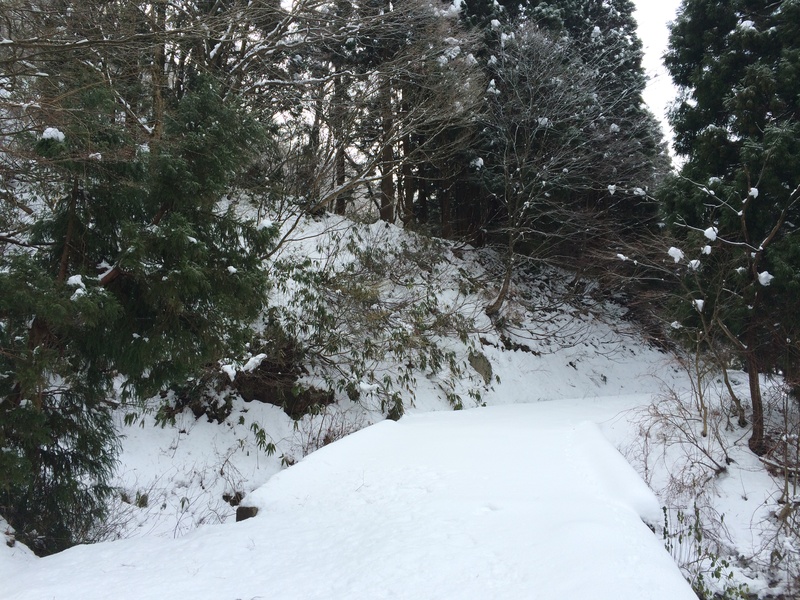 f:id:nceedo:20160117094420j:plain f:id:nceedo:20160117094420j:plain