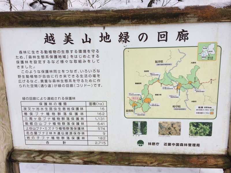 f:id:nceedo:20160117103749j:plain f:id:nceedo:20160117103749j:plain