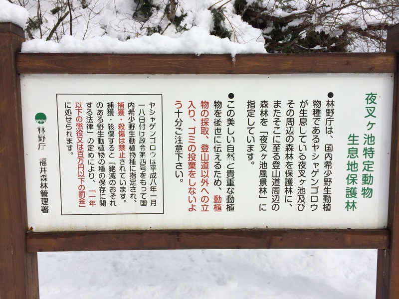 f:id:nceedo:20160117103806j:plain f:id:nceedo:20160117103806j:plain