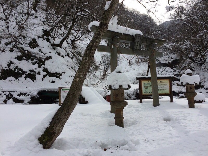 f:id:nceedo:20160117103832j:plain f:id:nceedo:20160117103832j:plain