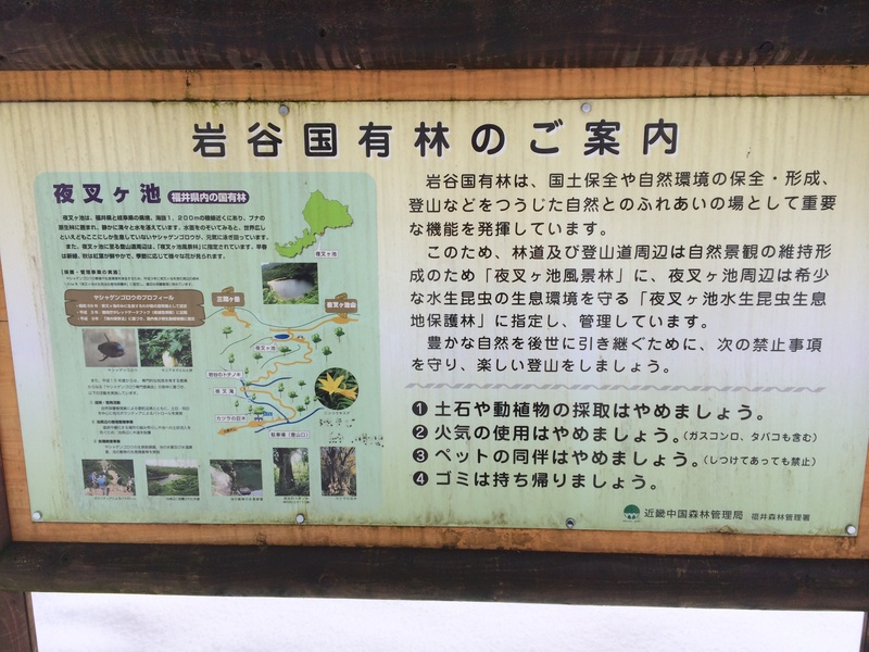 f:id:nceedo:20160117104012j:plain f:id:nceedo:20160117104012j:plain