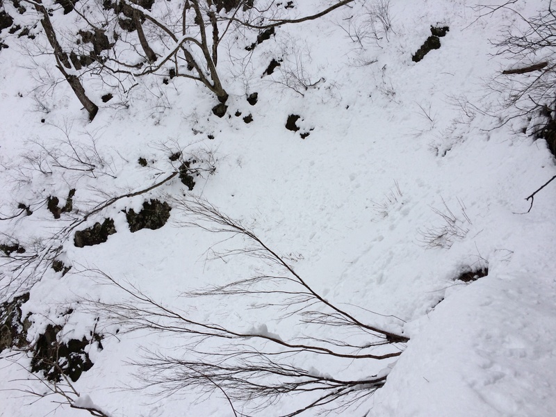 f:id:nceedo:20160117111501j:plain f:id:nceedo:20160117111501j:plain