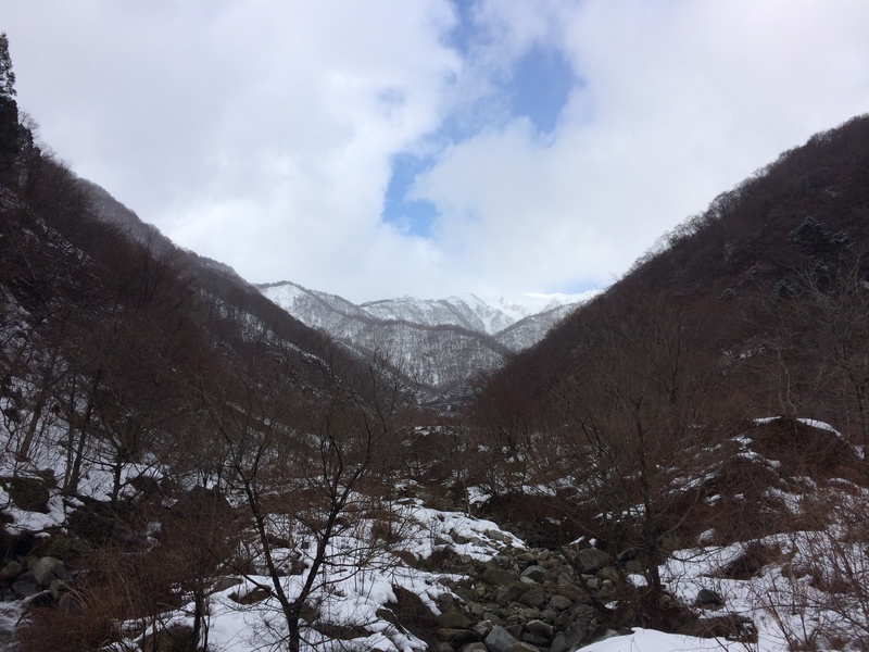 f:id:nceedo:20160206104546j:plain