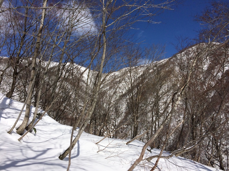 f:id:nceedo:20160206113634j:plain