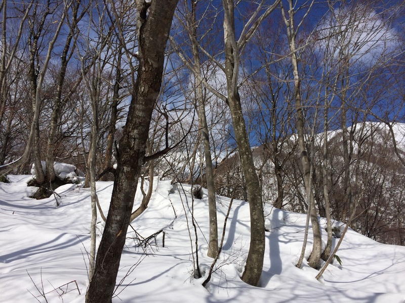 f:id:nceedo:20160206113637j:plain