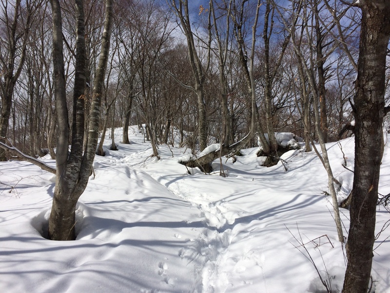 f:id:nceedo:20160206113642j:plain