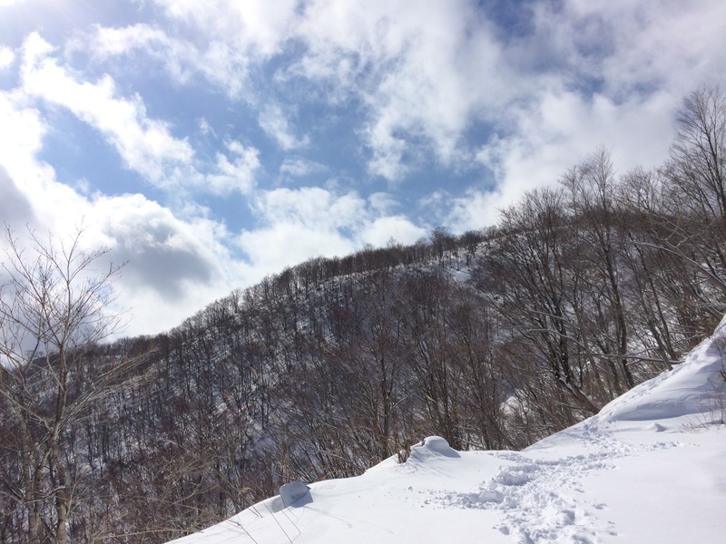 f:id:nceedo:20160206115038j:plain