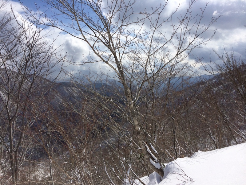 f:id:nceedo:20160206115043j:plain