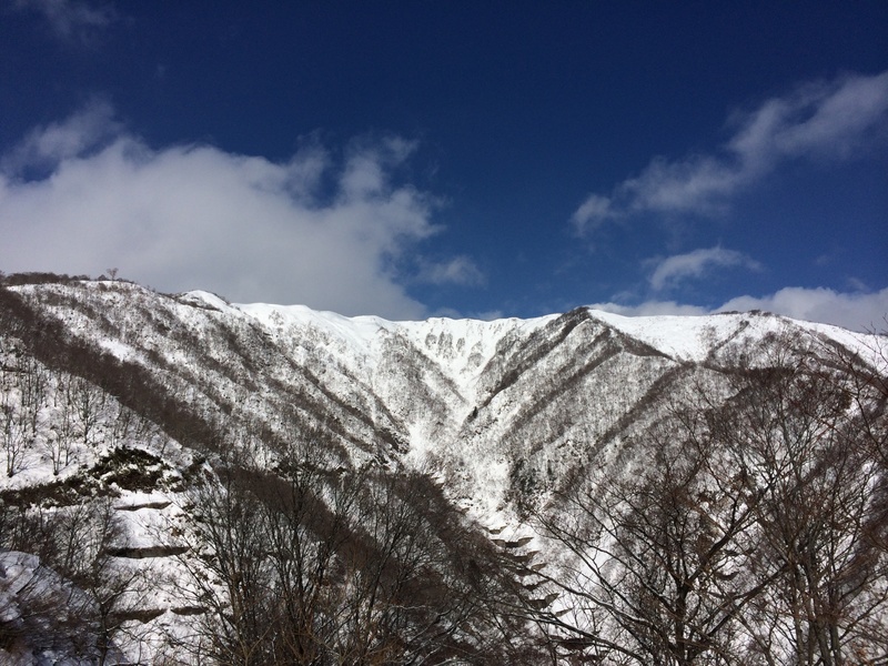 f:id:nceedo:20160206115105j:plain