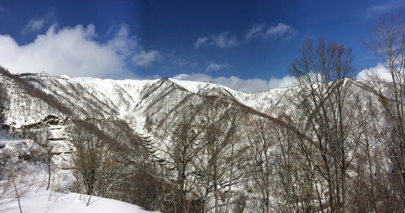 f:id:nceedo:20160206115139j:plain