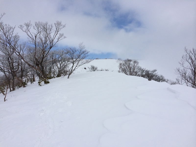 f:id:nceedo:20160206125512j:plain