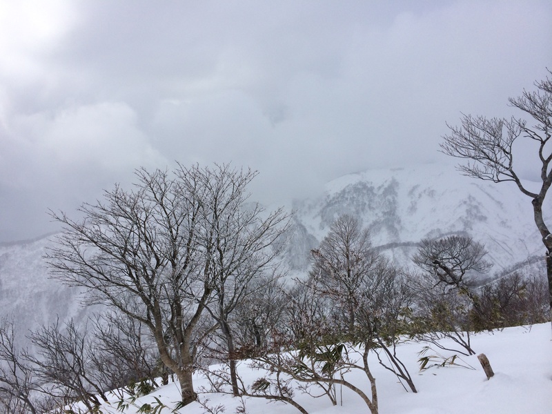 f:id:nceedo:20160206125524j:plain