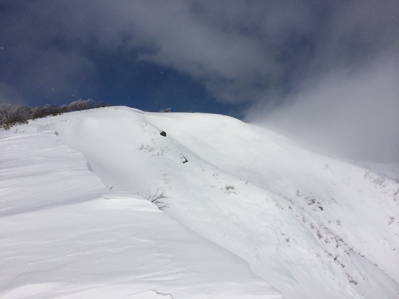 f:id:nceedo:20160206125732j:plain