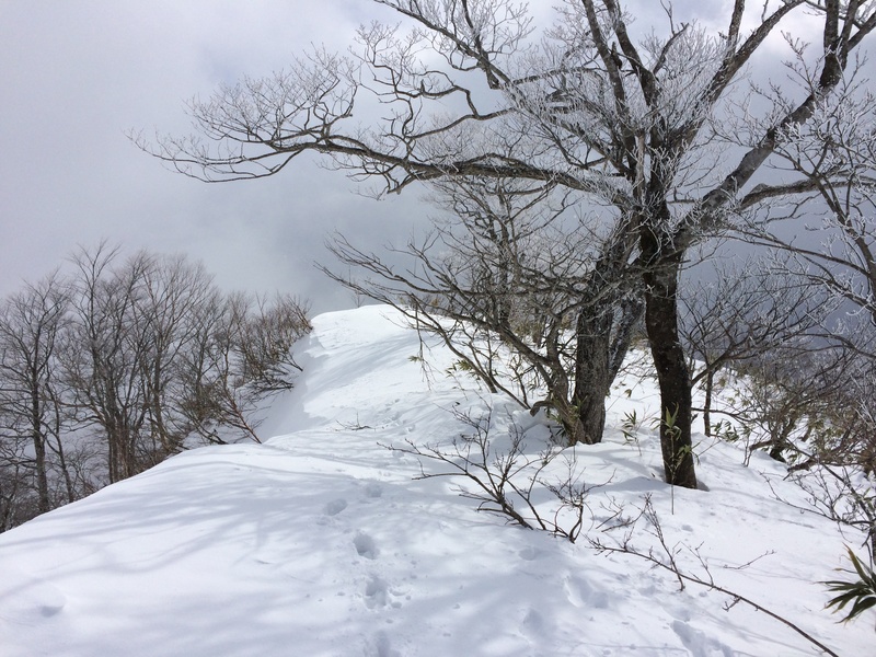 f:id:nceedo:20160206125736j:plain