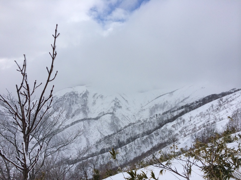 f:id:nceedo:20160206125758j:plain