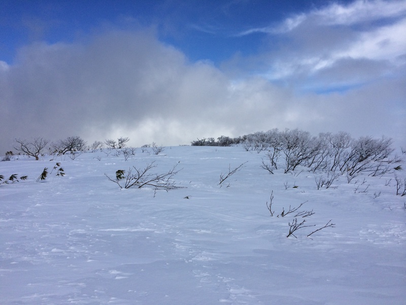 f:id:nceedo:20160206130234j:plain