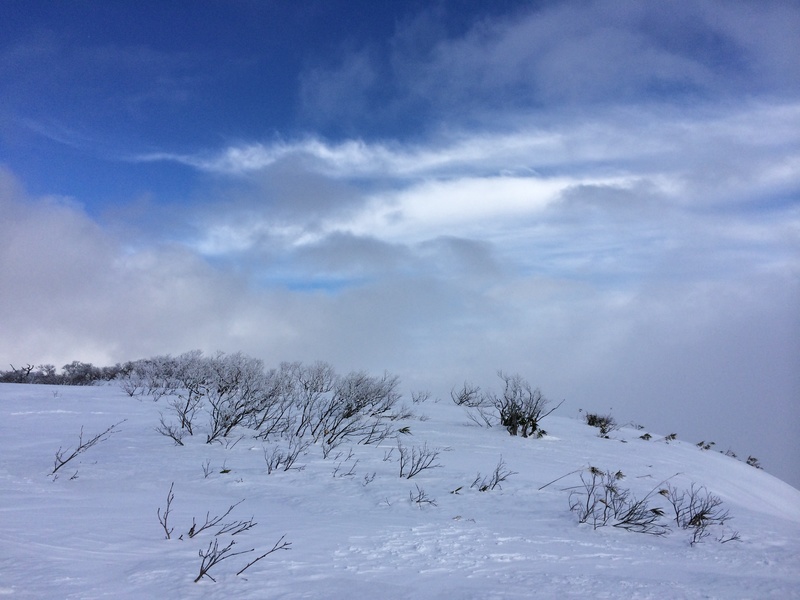 f:id:nceedo:20160206130237j:plain