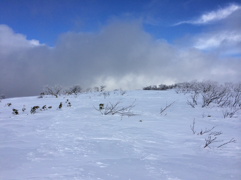 f:id:nceedo:20160206130242j:plain