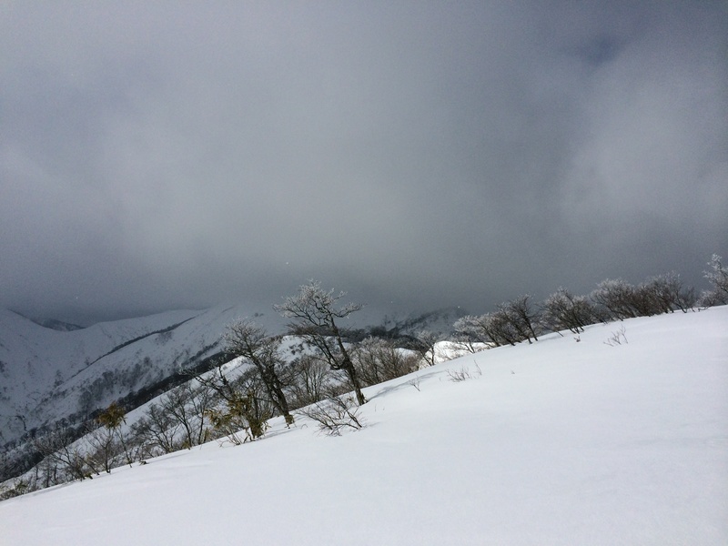 f:id:nceedo:20160206130351j:plain